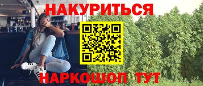 сатива Можайск